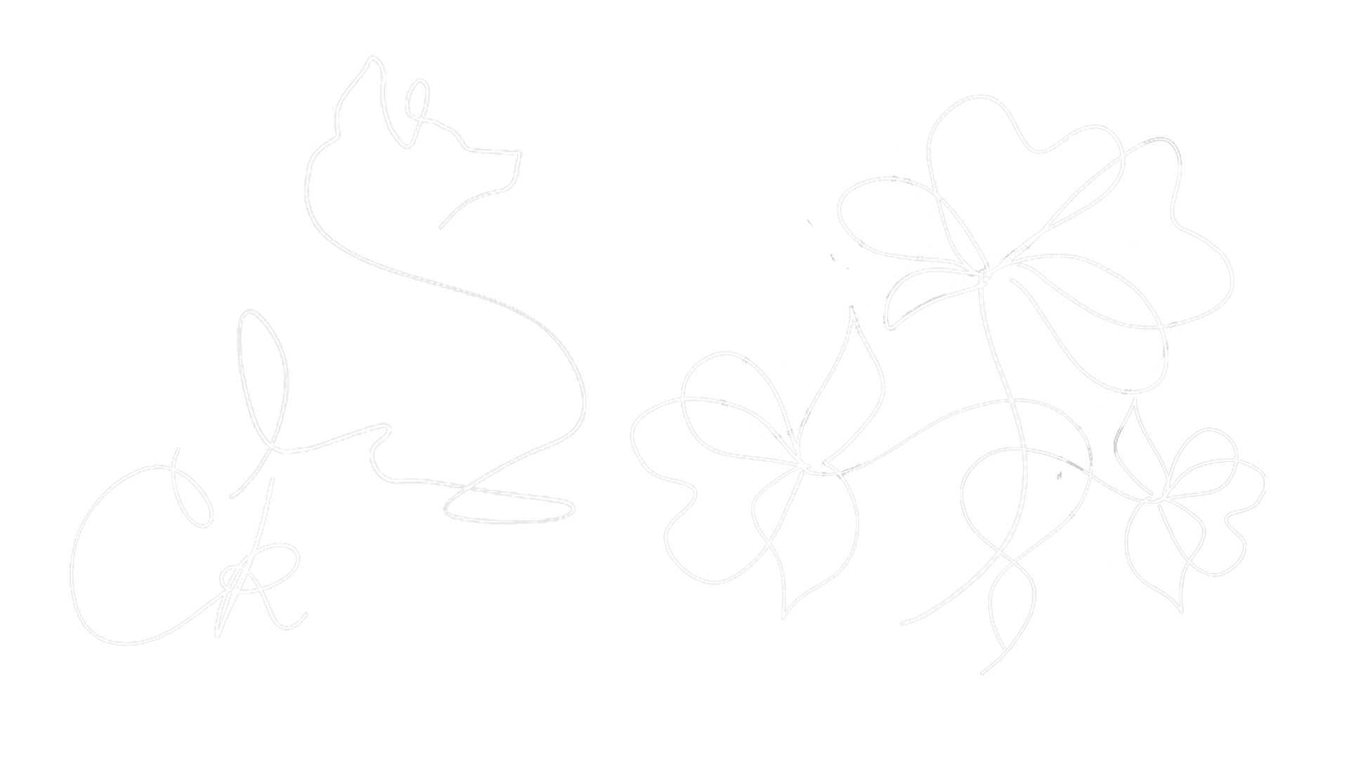 Brush Stroke Examples